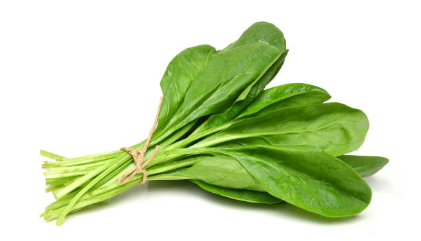 Spinach: The Ultimate Iron Powerhouse