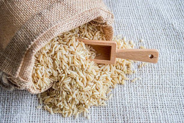 Brown Rice: A Nutritious Iron-Rich Grain